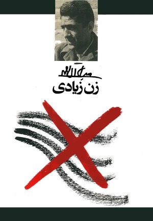 کتاب زن زیادی | انتشارات معین