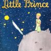 کتاب The Little Prince | انتشارات نارنگی