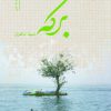 کتاب برکه | انتشارات آرمان رشد