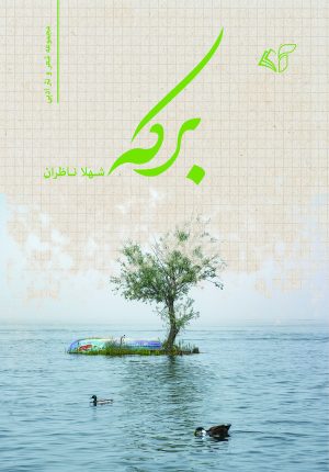 کتاب برکه | انتشارات آرمان رشد