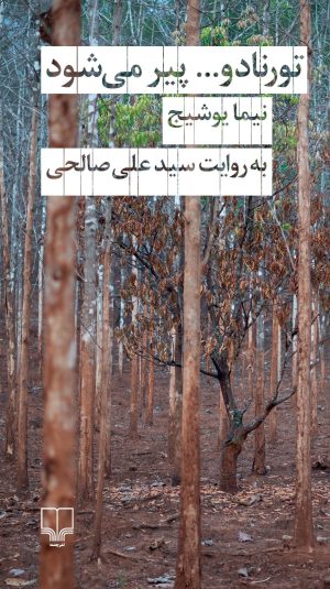 کتاب تورنادو پیر می شود | انتشارات نشر چشمه