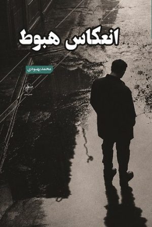 کتاب انعکاس هبوط | انتشارات فصل پنجم