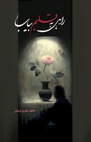 کتاب راهی به قلبم بیاب | انتشارات شقایق