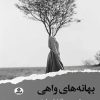 کتاب بهانه های واهی | انتشارات ایهام
