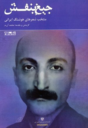 کتاب جیغ بنفش | انتشارات سرزمین اهورایی
