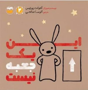 کتاب این یک جعبه نیست | انتشارات امیرکبیر