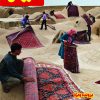 کتاب مجله سروش - شماره 1732 | انتشارات سروش