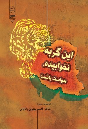 کتاب این گربه نخوابیده حواست باشد! | انتشارات گیوا