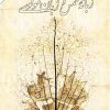 کتاب زبانه شمس و زبان مولوی | انتشارات امیرکبیر
