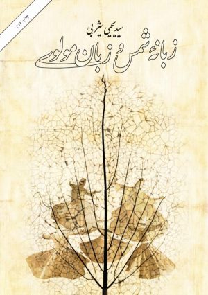 کتاب زبانه شمس و زبان مولوی | انتشارات امیرکبیر
