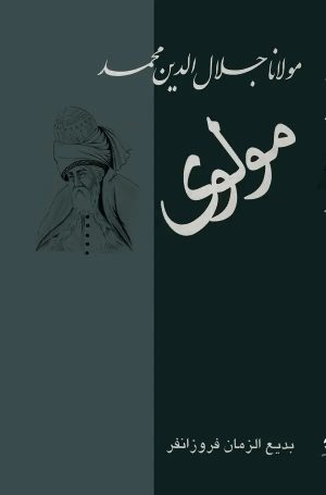 کتاب مولانا جلال‌الدین محمد | انتشارات معین